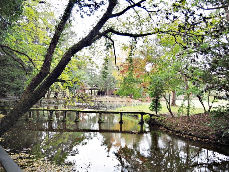 【大分縣 | 宇佐市】宇佐神宮：日本八幡宮總本宮、能量最強的秘密就在社境裡，還是CNN票選日本最美31處之一