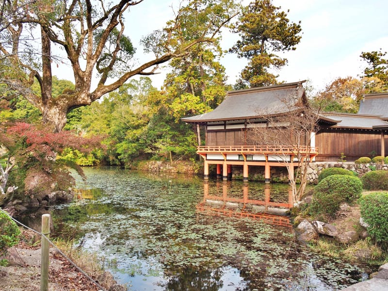 【大分縣 | 宇佐市】宇佐神宮：日本八幡宮總本宮、能量最強的秘密就在社境裡，還是CNN票選日本最美31處之一