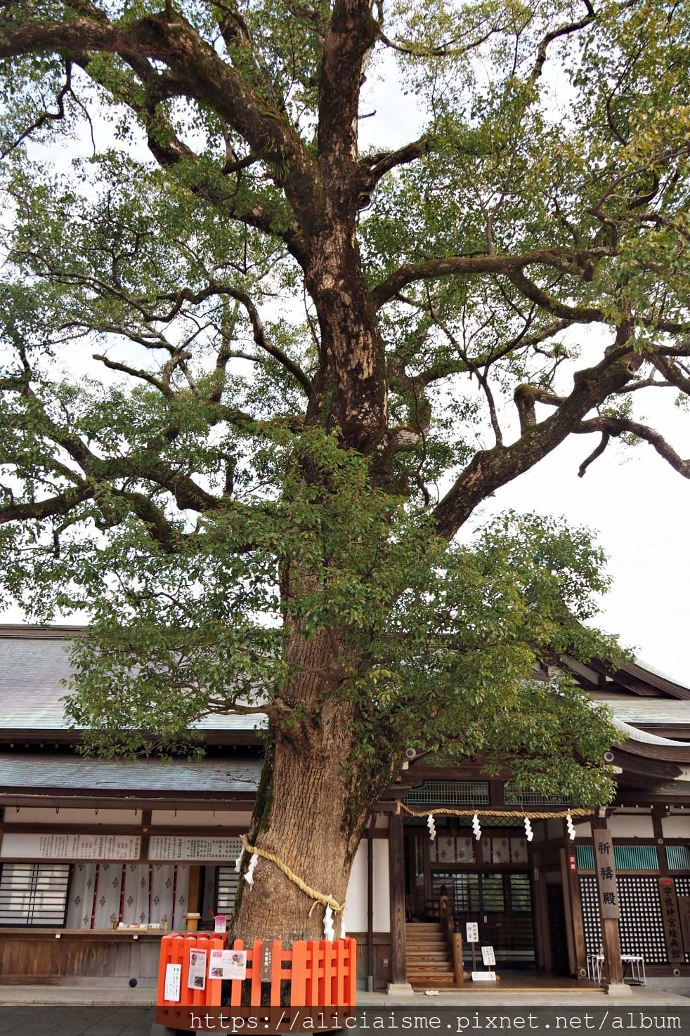 【大分縣 | 宇佐市】宇佐神宮：USA裡的日本八幡宮總本宮&