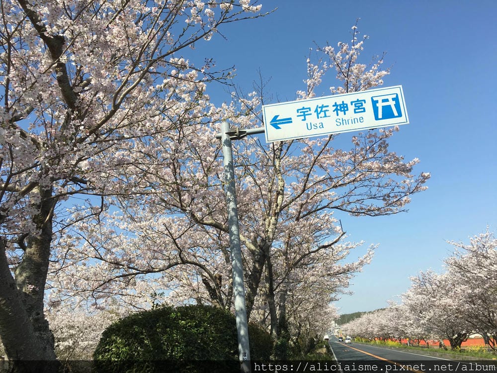 【大分縣 | 宇佐市】宇佐神宮：USA裡的日本八幡宮總本宮&