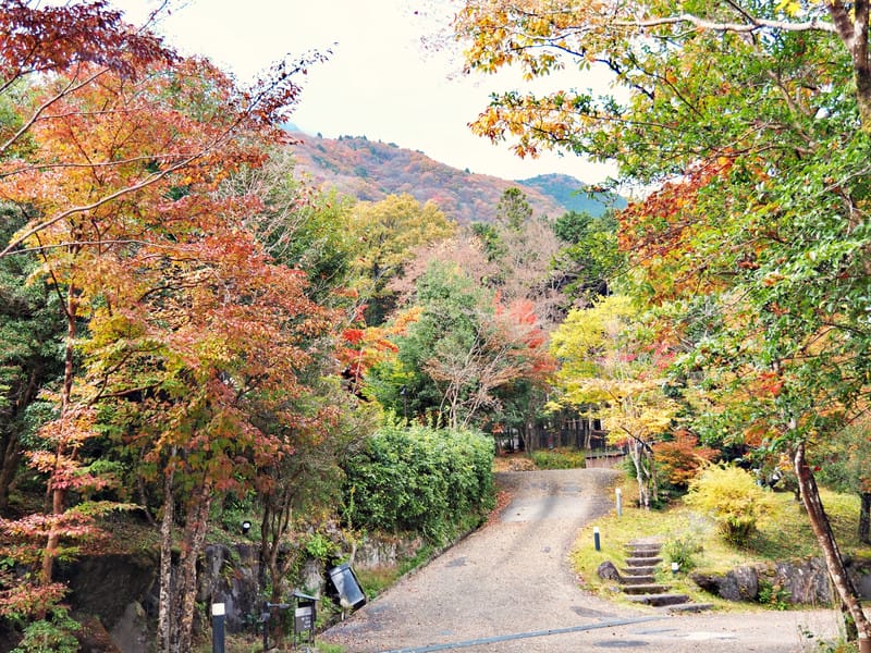 【大分縣|由布院住宿】山莊無量塔:御三家名不虛傳,古民宅裡,以時光為蘊藏,日式待客之道是精華,還有那美味到連整鍋飯都想吃完 - 第6張圖 【大分縣|由布院住宿】山莊無量塔:御三家名不虛傳,古民宅裡,以時光為蘊藏,日式待客之道是精華,還有那美味到連整鍋飯都想吃完