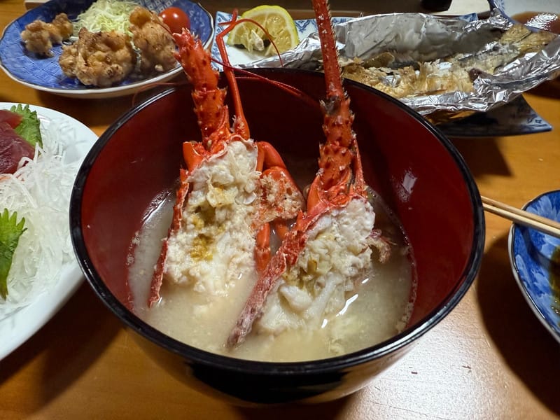 大分縣｜佐伯市．藤之鄉：來到鄉下住一晚，龍蝦、烤魚美食外，與阿嬤學過生活