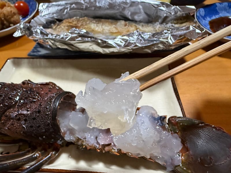 大分縣｜佐伯市．藤之鄉：來到鄉下住一晚，龍蝦、烤魚美食外，與阿嬤學過生活