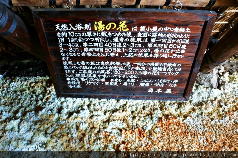 【大分縣|別府】明礬 湯之里 VS 岡本屋賣店:溫泉蒸布丁、溫泉蛋、湯之花伴手禮,別府溫泉旅最完美的ENDING