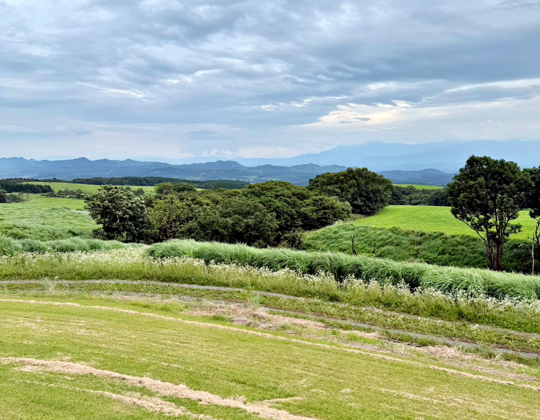 【大分縣】久住共鳴俱樂部｜阿蘇九重國立公園內的慢時光度假宿，享用法式餐、聆聽星空與高原的山林對話