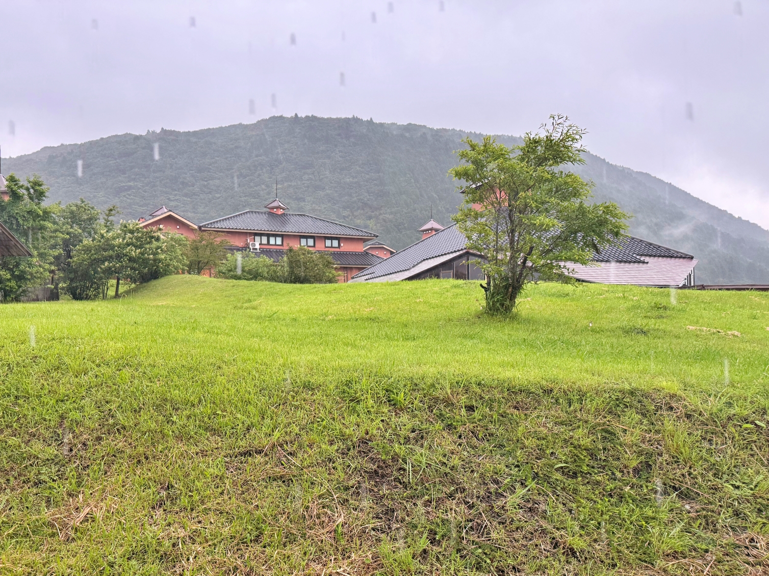 【大分縣】久住共鳴俱樂部｜阿蘇九重國立公園內的慢時光度假宿，享用法式餐、聆聽星空與高原的山林對話