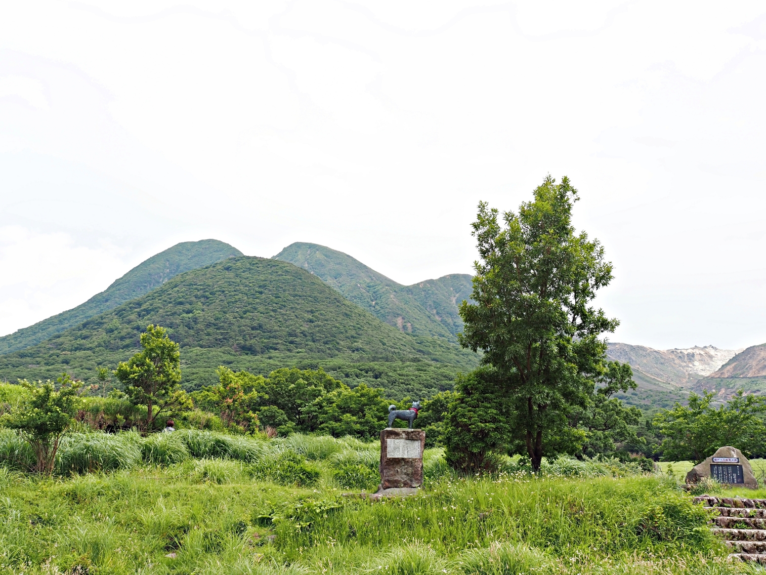 【大分縣｜飯田高原】蓼原濕地的涼夏綠意漫步與 NU:KUJU 的職人生活美學，還能在農家餐廳吃到頂級豊後牛。加碼推薦鄰近的久住花公園，徜徉無邊際花海裡