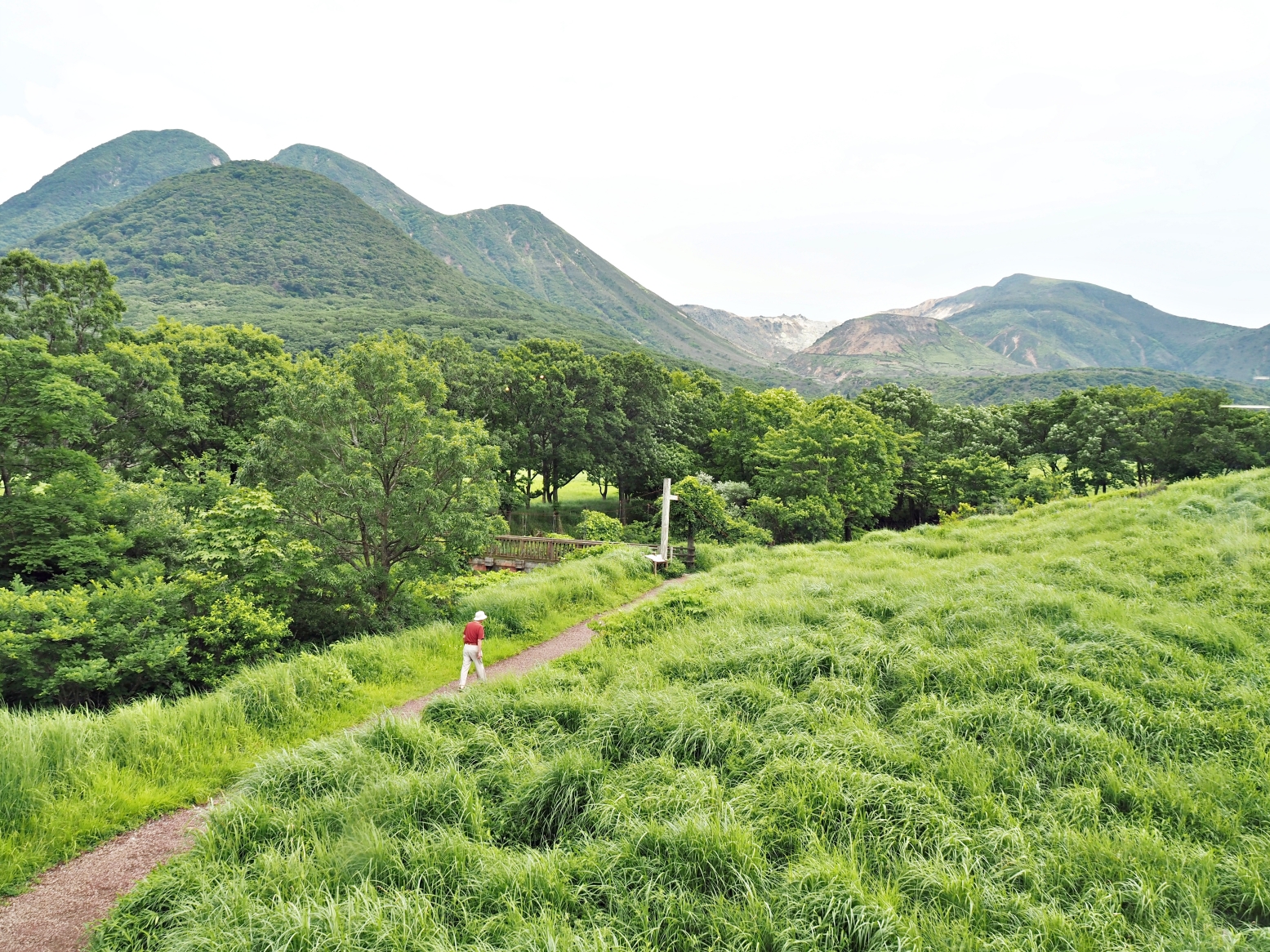 【大分縣｜飯田高原】蓼原濕地的涼夏綠意漫步與 NU:KUJU 的職人生活美學，還能在農家餐廳吃到頂級豊後牛。加碼推薦鄰近的久住花公園，徜徉無邊際花海裡