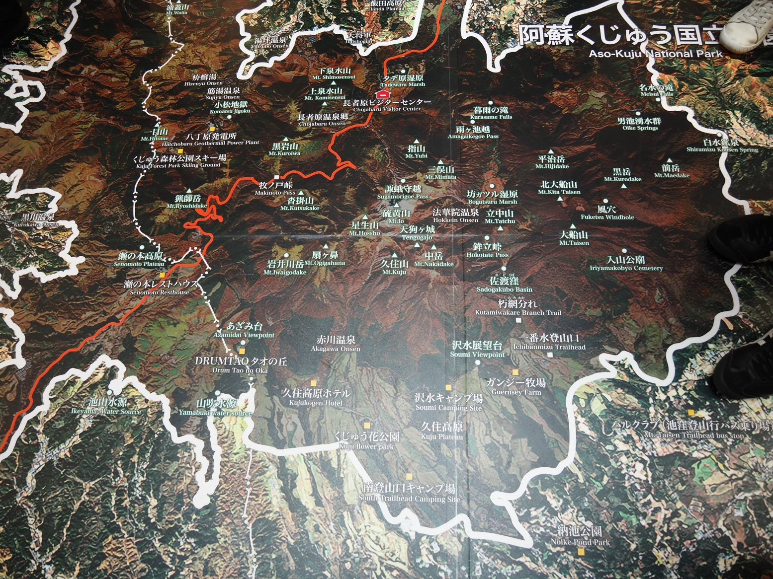 【大分縣｜飯田高原】蓼原濕地的涼夏綠意漫步與 NU:KUJU 的職人生活美學，還能在農家餐廳吃到頂級豊後牛。加碼推薦鄰近的久住花公園，徜徉無邊際花海裡