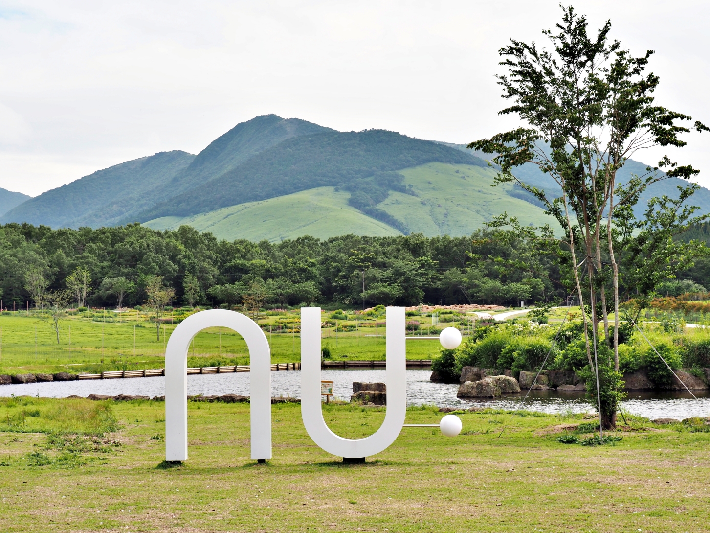 【大分縣｜飯田高原】蓼原濕地的涼夏綠意漫步與 NU:KUJU 的職人生活美學，還能在農家餐廳吃到頂級豊後牛。加碼推薦鄰近的久住花公園，徜徉無邊際花海裡