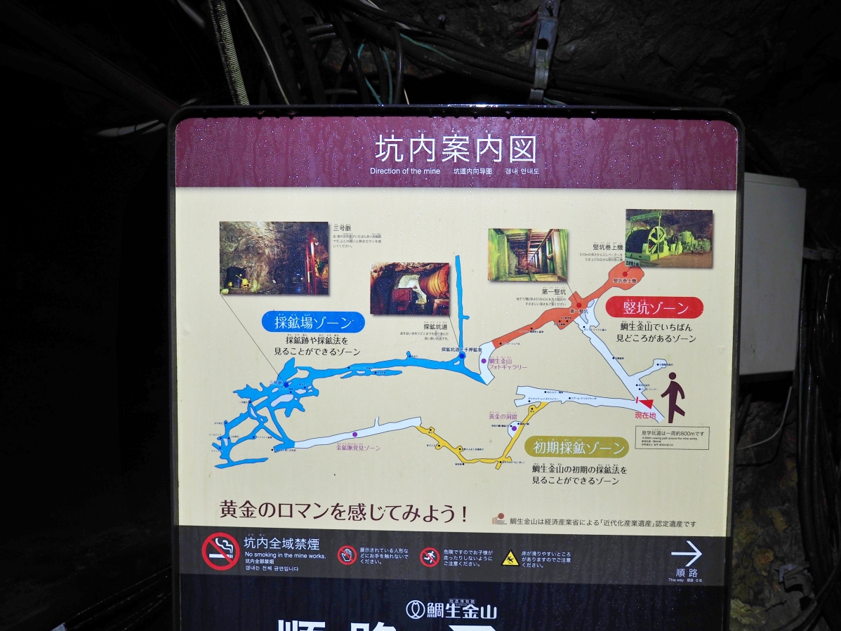 【大分縣】稻積水中鐘乳洞VS鯛生金山：大自然VS人工開鑿，來趟神秘地底的華麗冒險